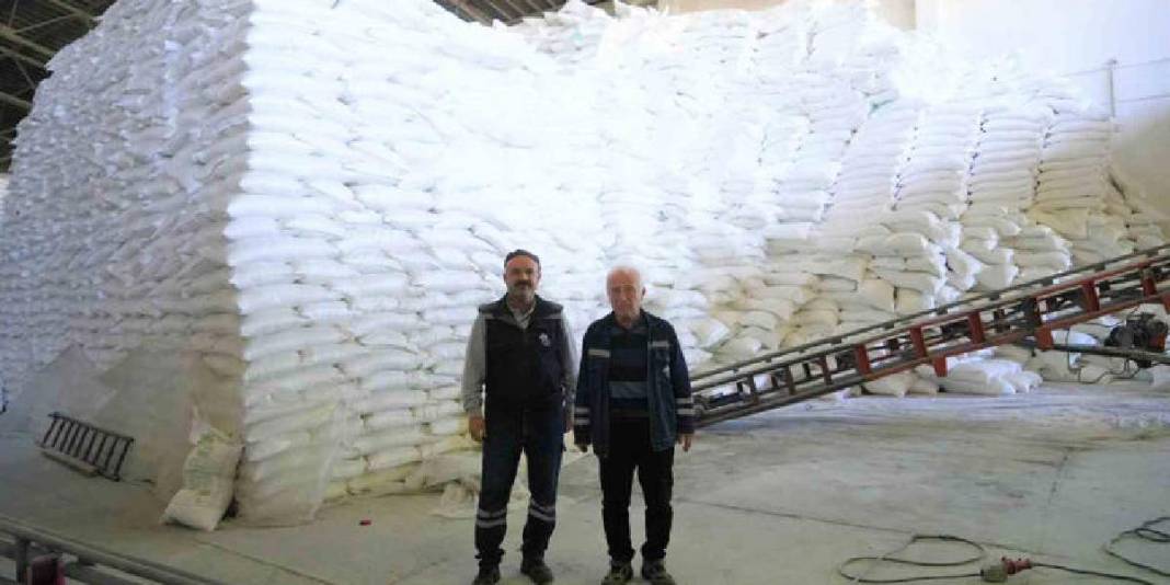 56 köyden 1500 üreticinin emeği! 320 bin ton üretimin 1,7 milyar TL katkı sağlaması bekleniyor! 4